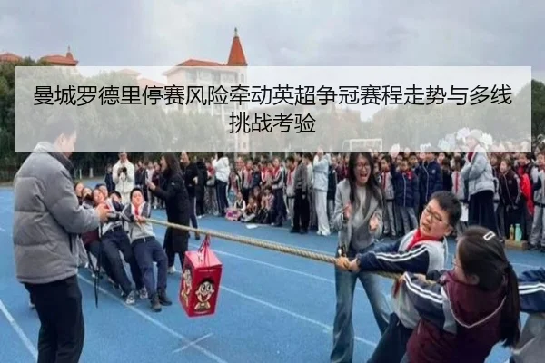 img_1781106868614_343_1_456.jpg