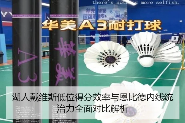 湖人戴维斯低位得分效率与恩比德内线统治力全面对比解析